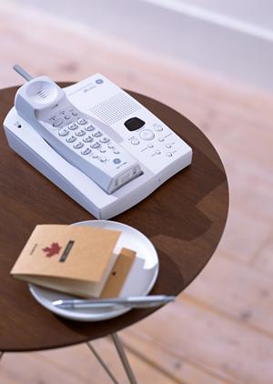 デジカメは現在では必需品になっています